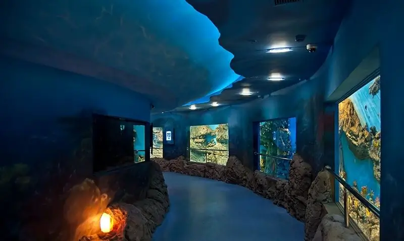 Oceanarium in Moscow