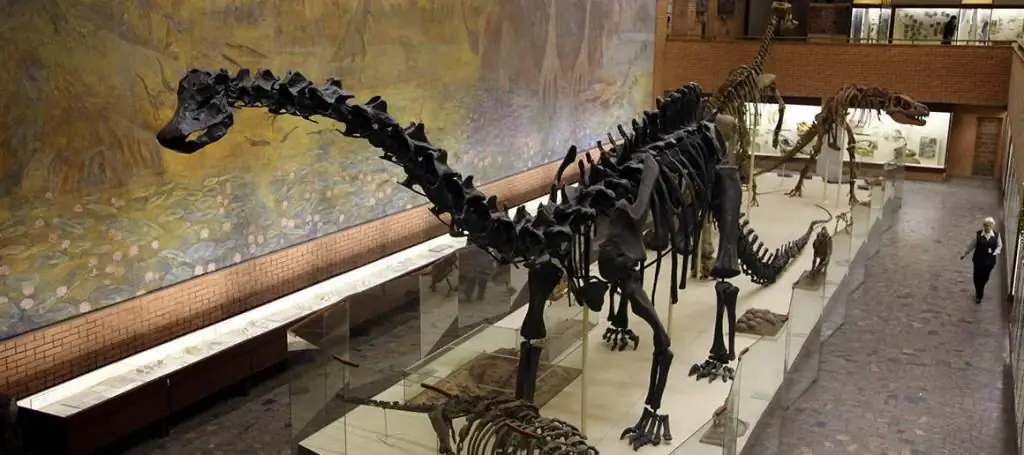 Paleontological Museum in Moscow