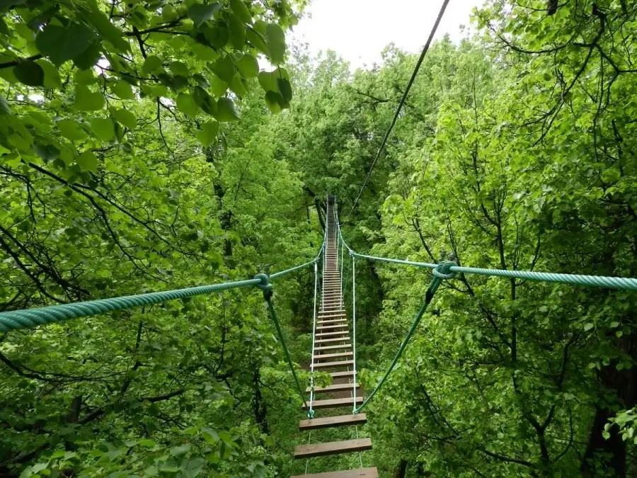 "Pando Parks" nyob rau hauv qhib huab cua