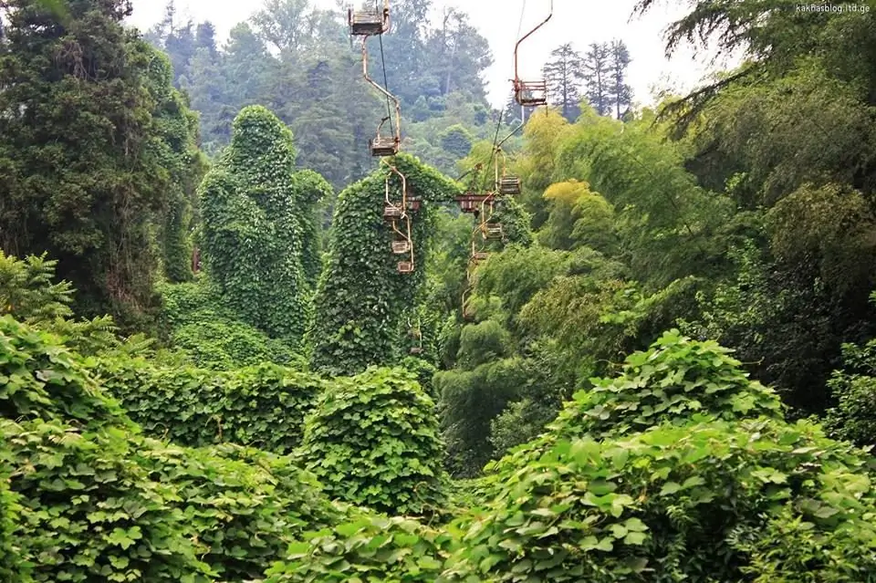 Jardín Botánico de Cabo Verde