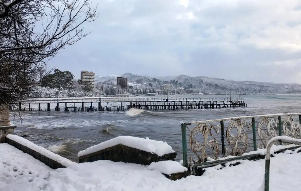 Snowy Sukhumi