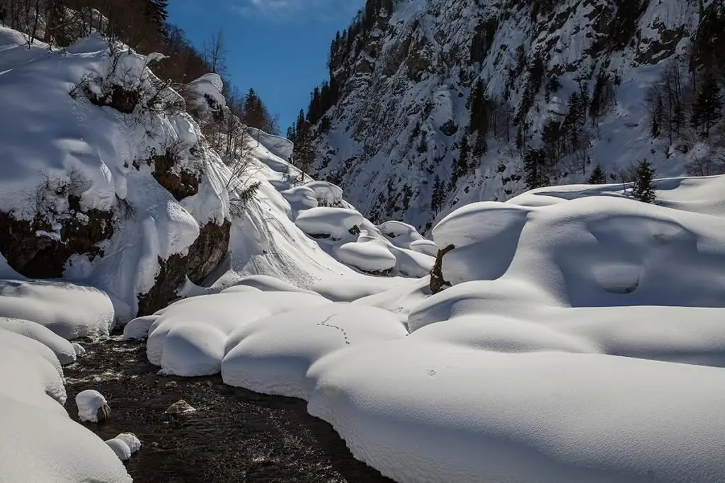 თოვლის საფარი