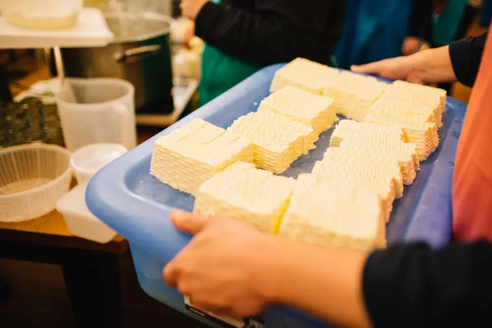 cheese tasting