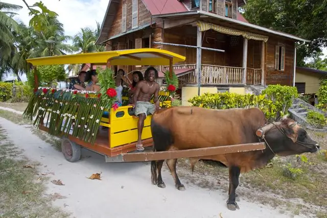 transportasi lokal