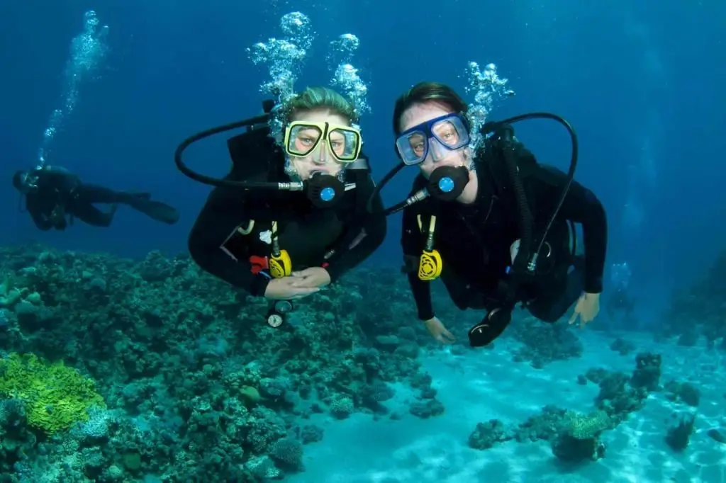 Diving in the Philippines reviews