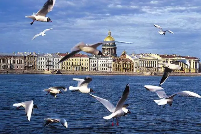 cruise za mto kutoka St. petersburg nchini russia na kurudi St. petersburg