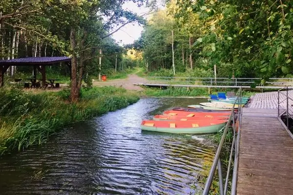 centro recreativo gato matroskin región de Leningrado