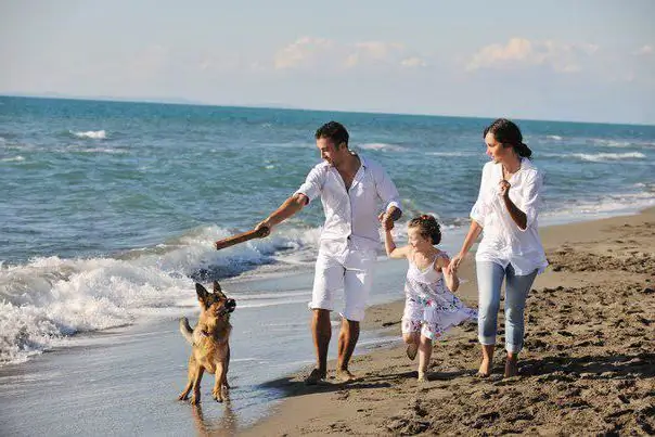 en el mar negro con un perro