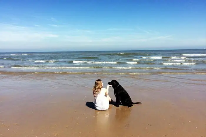 donde ir al mar con un perro