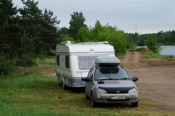 Počitnice s psi na morju: kam iti, nasveti, ocene