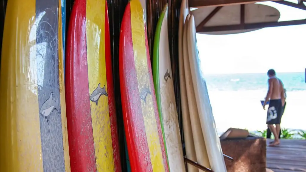 surfboard rental shop