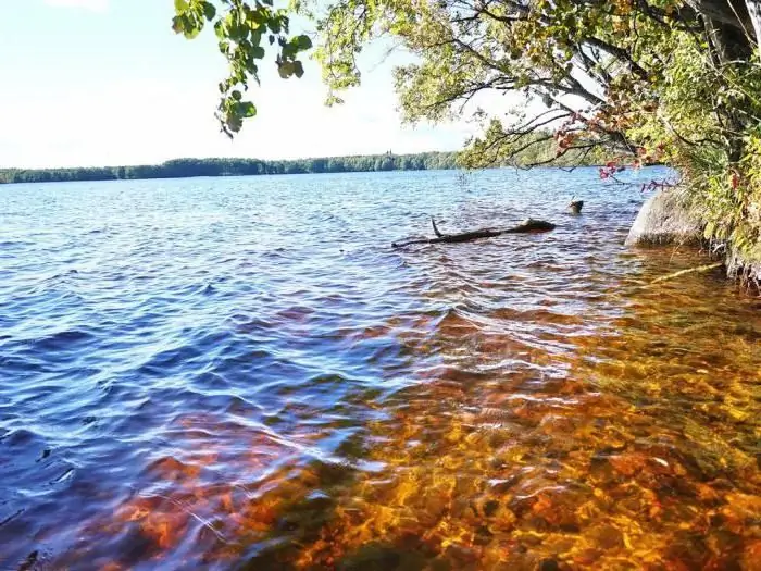 Kõik Gorovaldaiskoje järve kohta (Leningradi oblast): kalapüügi- ja puhkekoha valimine