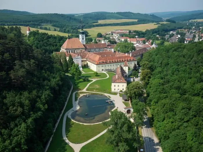 zdjęcie wiedeńskiego lasu