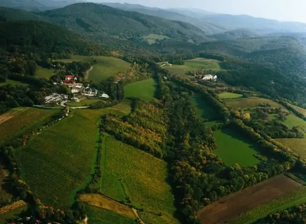 βιεννέζικο δάσος της Αυστρίας