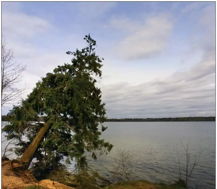 sjön svityaz vitryssland