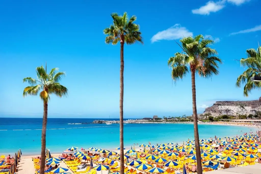 Recenzii din Gran Canaria