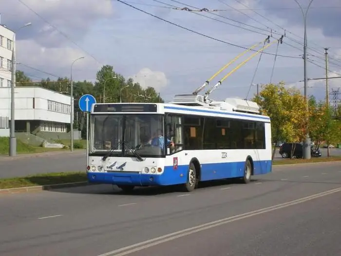 pojedinačna putna karta