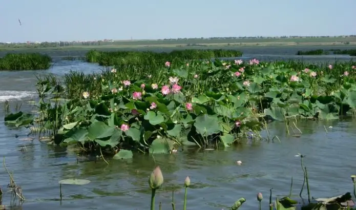 Lotus Valley: kako doći automobilom, vlakom ili avionom