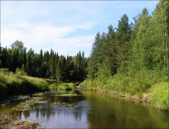 Nizhny Novgorod region: nature reserves and sanctuaries. Reserves of the Nizhny Novgorod region: Kerzhensky, Ichalkovsky, Lake Vadskoe and Lake Svetloyar