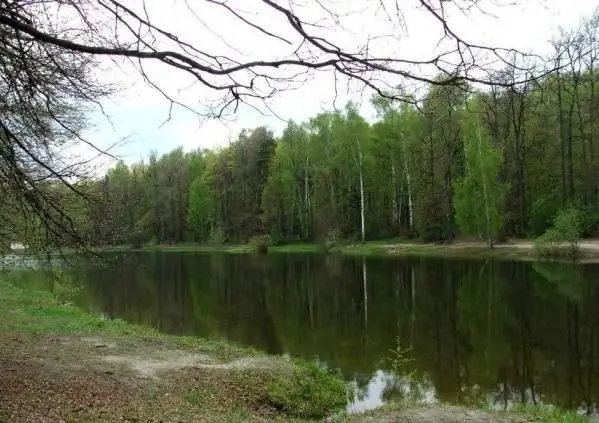 Red Ponds