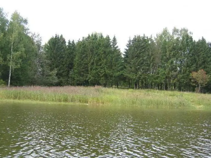 Kleine oevers op het stuwmeer van Istra