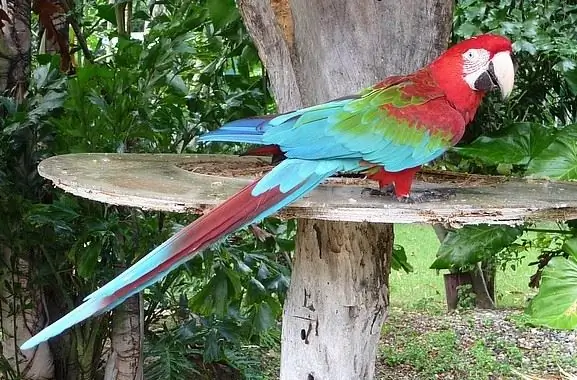 Manati Bavaro Park