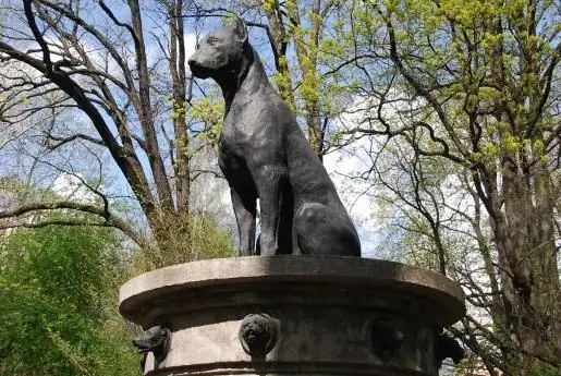 Kända monument över hundar i och utanför Ryssland