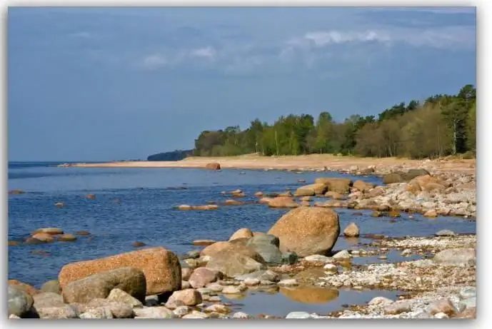 Recreation center "Pikhtove". Country rest in the Leningrad region