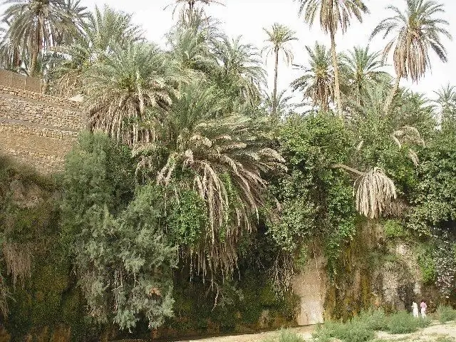 ulasan tunisia