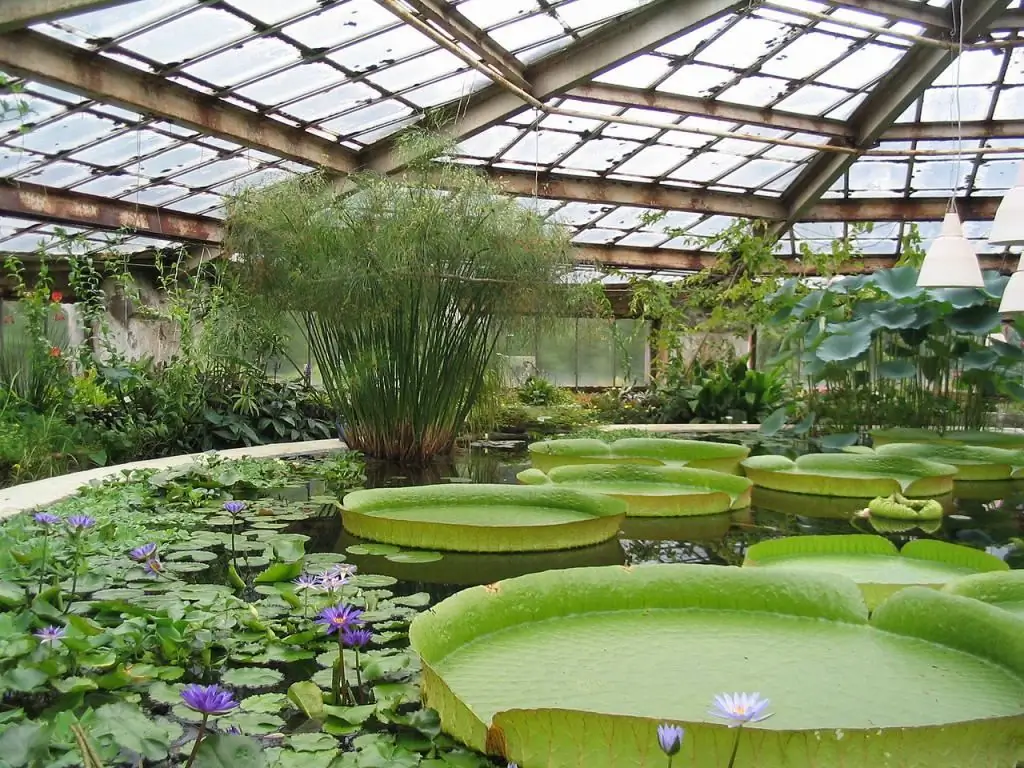 Jardin botanique de Saint-Pétersbourg