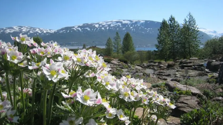 Polarer botanischer Garten