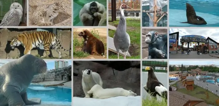 Izhevsko zoologijos sodo tvarkaraštis