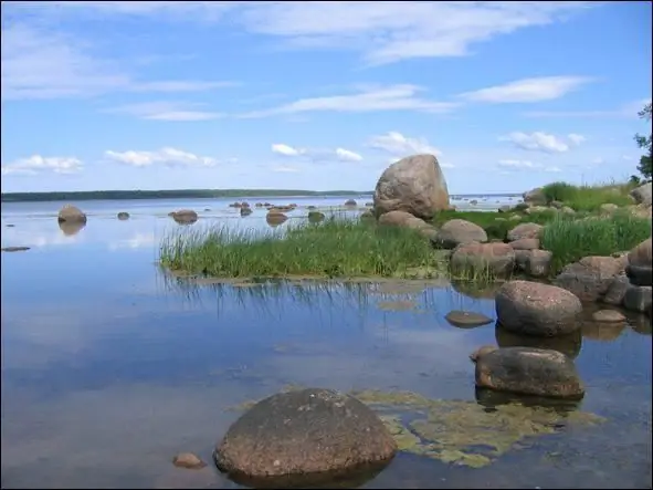 Big Tyuters Island i Finska viken: expedition, foto